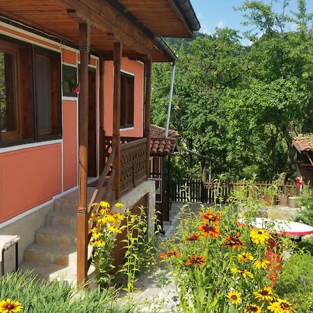 Mechta Guest House Koprivshtitsa Εξωτερικό φωτογραφία