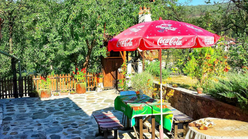 Mechta Guest House Koprivshtitsa Εξωτερικό φωτογραφία